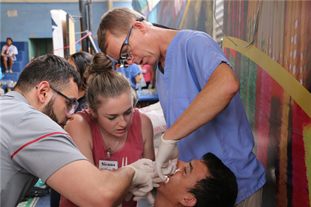 Dentist Treating Patients