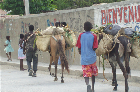 local Haitians walking down the road with horses