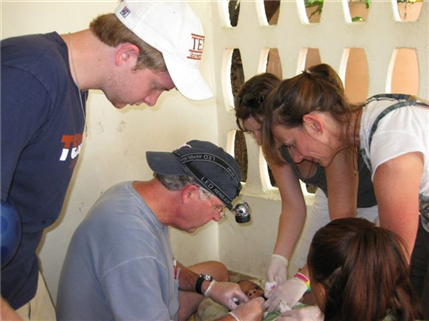 Photo of child receiving care in a dental clinic